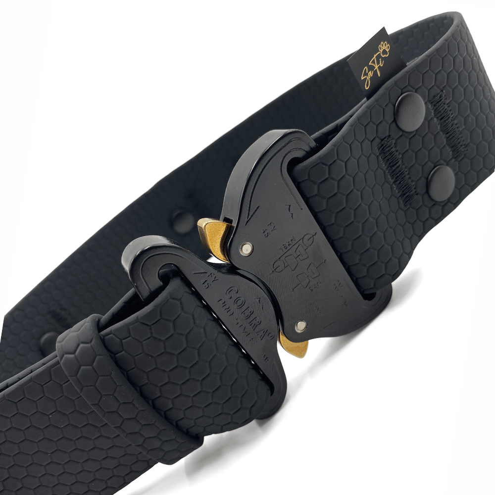 Klamra Cobra® w obroży dla dużego psa