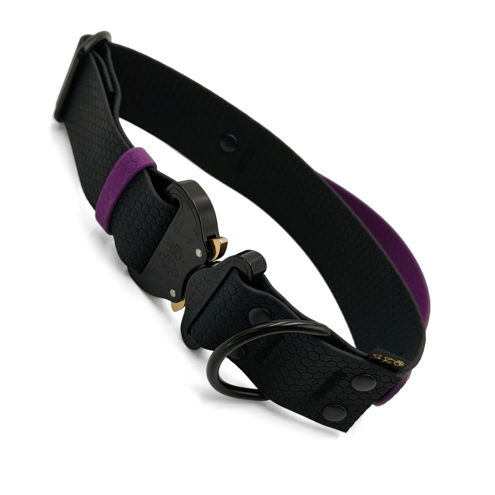 Obroże 4 cm dla dużego psa z klamrą Cobra®
