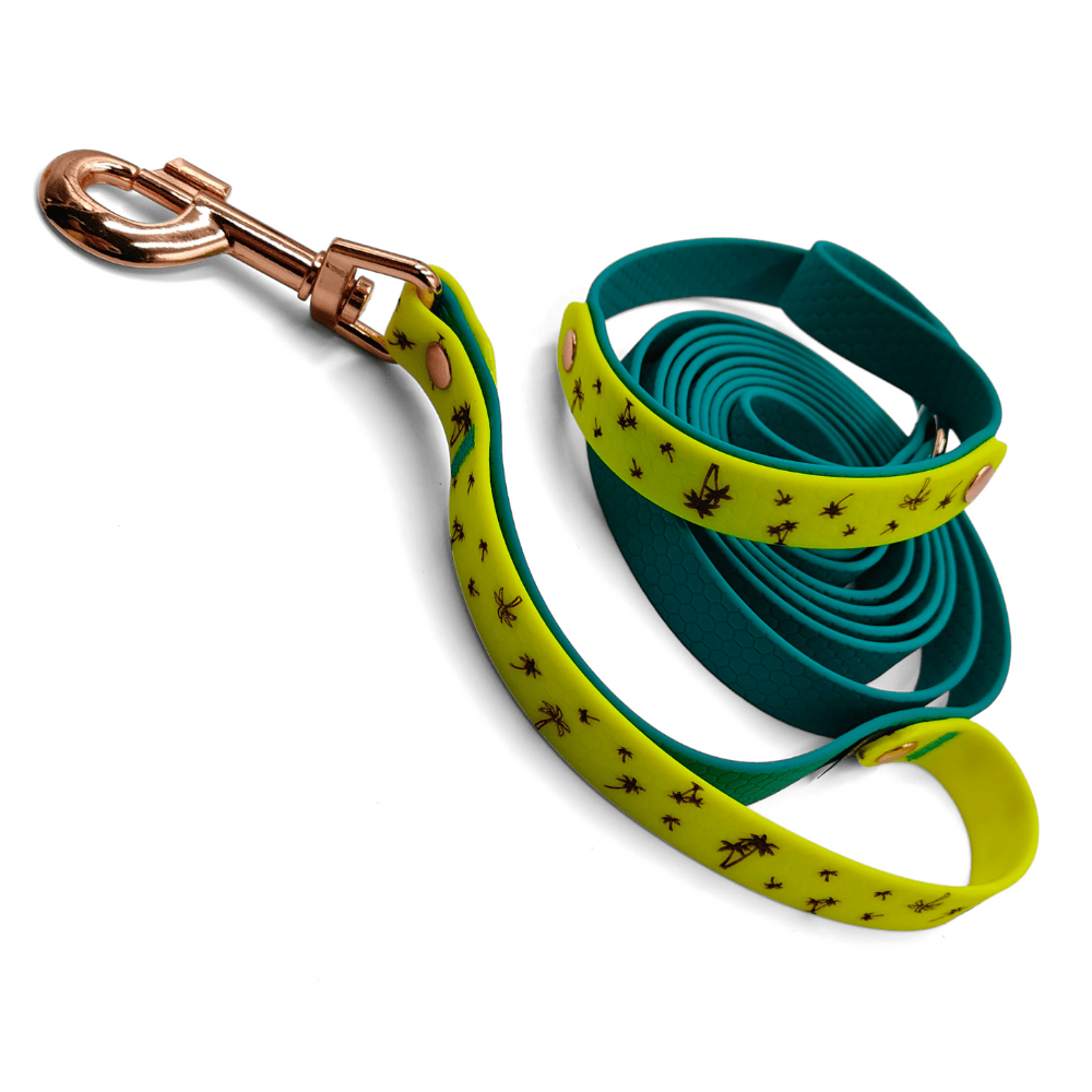 Smycz wodoodporna Lipiec w Tropikach 2,5 m dla dużego psa