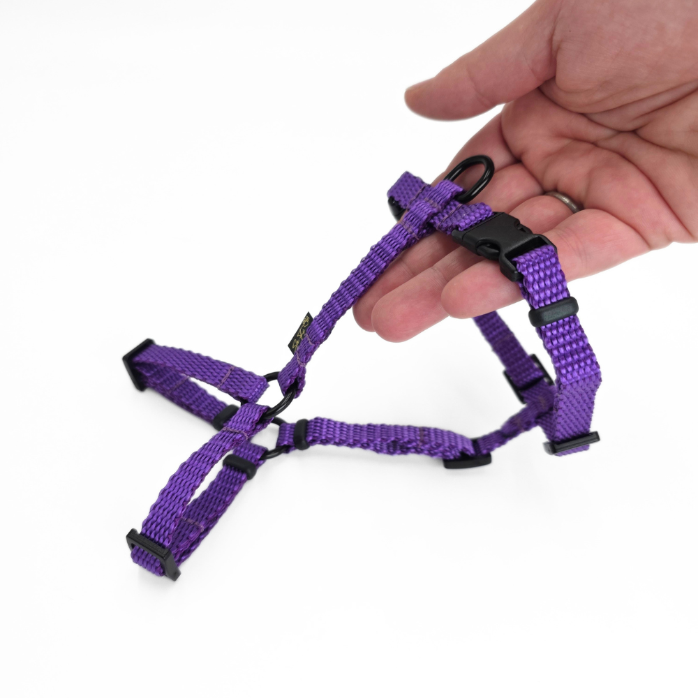 Szelki XS fiolet 3.png