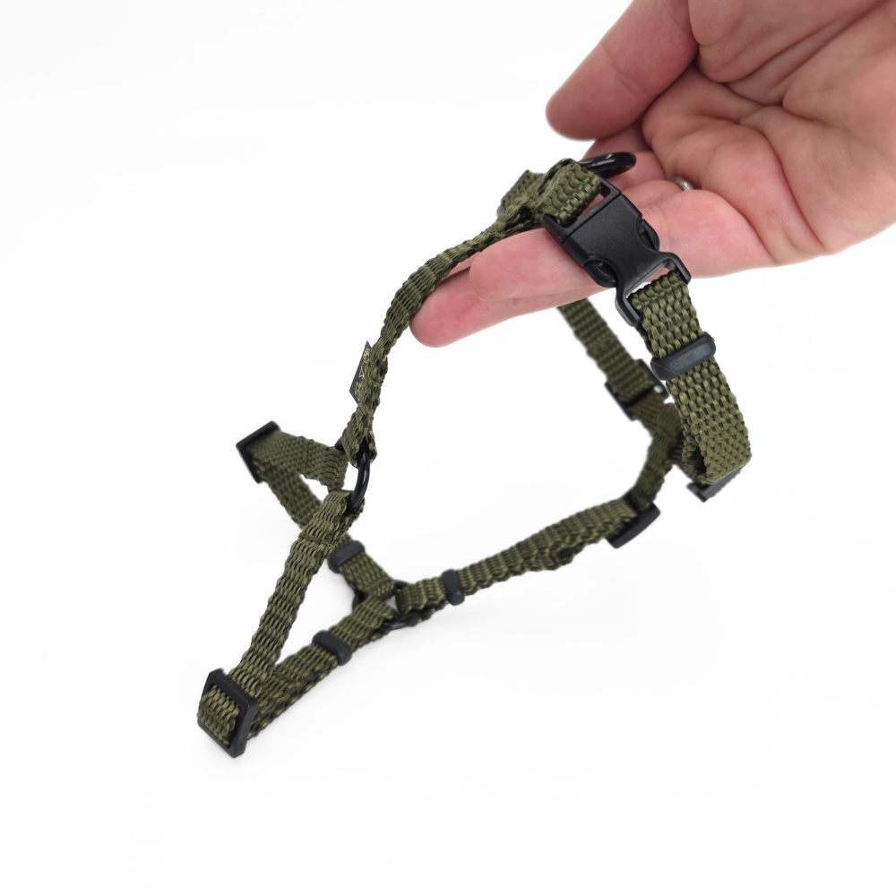 Szelki XS khaki 3.png
