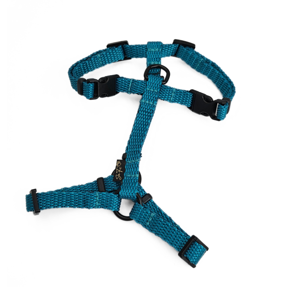 Szelki GUARD dla małego psa XS - turkus