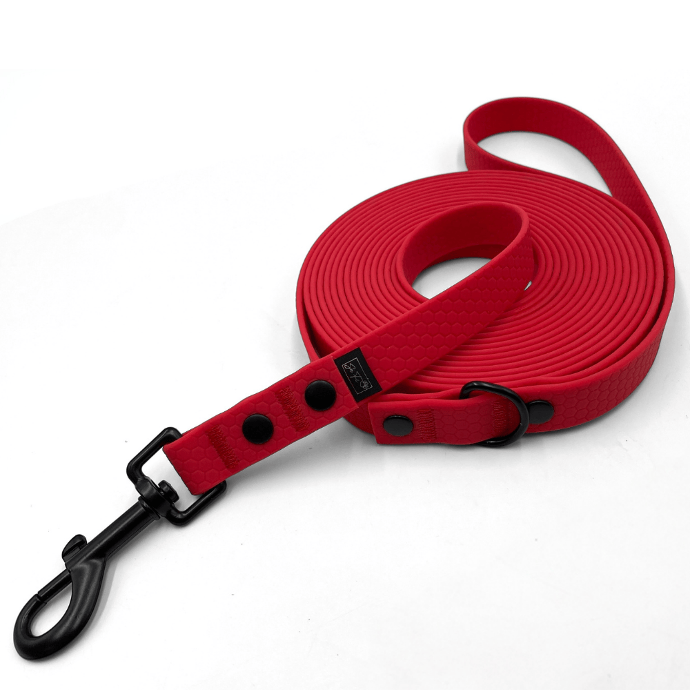 smycz z rączką dla dużego psa hexa 20 mm czerwona Magenta