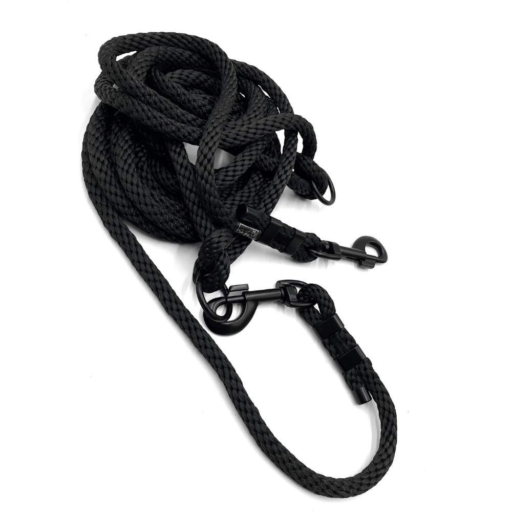 Czarna Mamba przepinana.png
